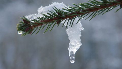 В Україну йде потепління: коли відступлять морози і прийде плюсова температура