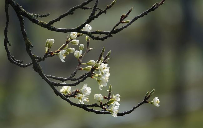В Украине резко сменится погода на выходных: свежий прогноз синоптиков