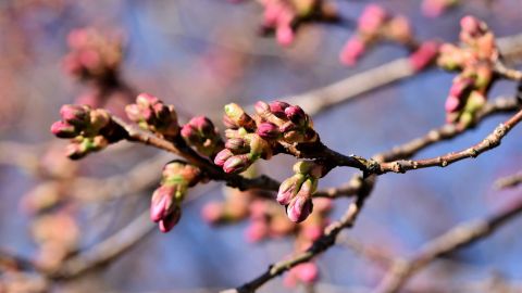 Антициклон Пегги резко сменит погоду в Украине: свежий прогноз