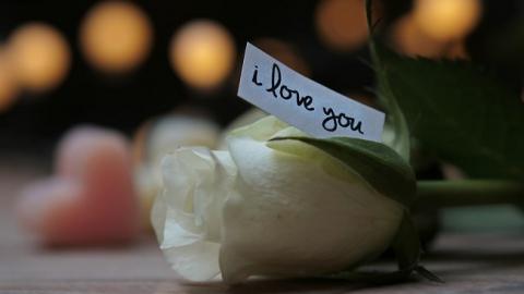 Що подарувати дівчині на 14 лютого: найкращі ідеї