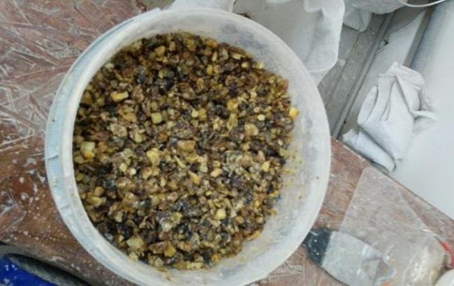 СБУ изъяла янтарь на 10 млн гривен в Киевской области