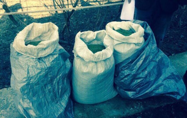 У Дніпропетровській обл. правоохоронці вилучили наркотиків на 1 млн гривень