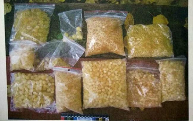 У Рівненській області поліцейські вилучили більше 9 кг бурштину