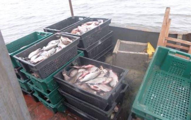 "Приятного аппетита": в Чернобыле поймали браконьеров с 200 кг рыбы