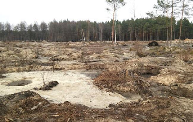 Поліція заявляє про стабілізацію ситуації з видобутком бурштину у Рівненській області