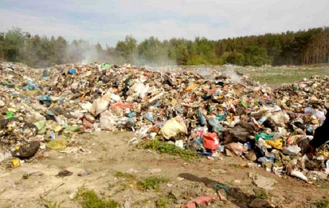 В Житомирской области полиция задержала фуру, выгрузившую "львовский" мусор