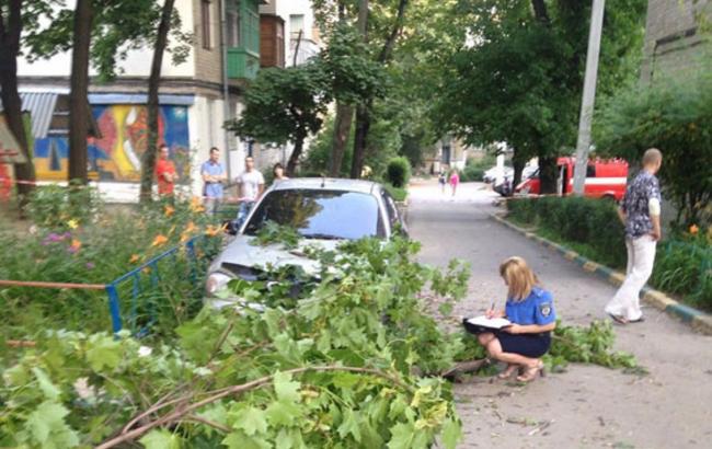 Женщина и ребенок получили тяжелые травмы из-за падения дерева в Харькове