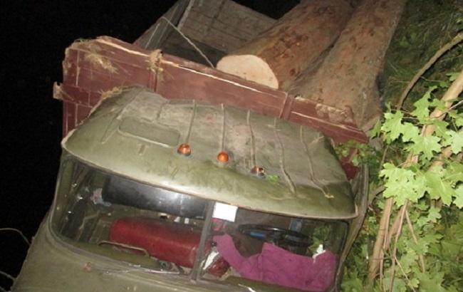 На Закарпатті незаконна рубка дерев призвела до загибелі 2 людей