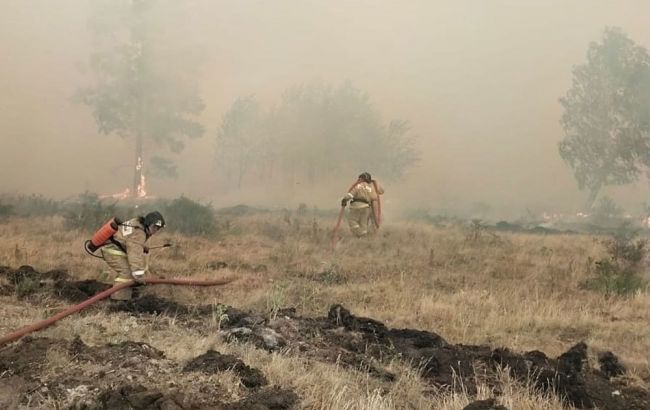 У Росії горить 14 тисяч гектарів лісу, є загиблий