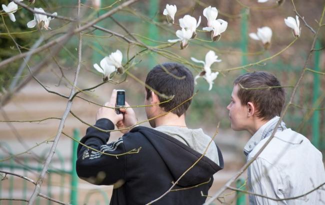 В Киеве распустились первые цветы магнолии