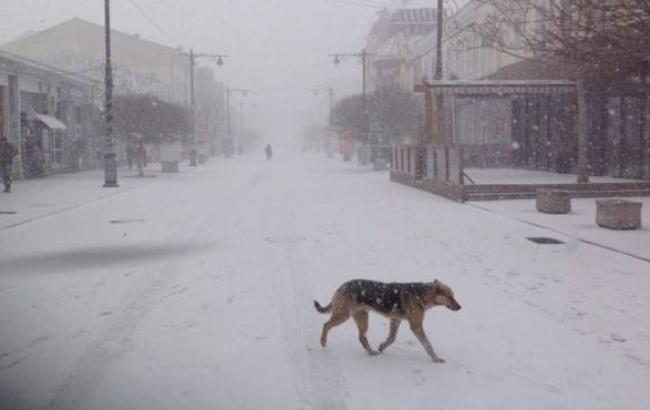 Крым завалило снегом