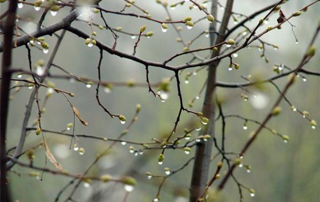 Погода на сьогодні: в Україні очікуються дощі зі снігом, температура до +6