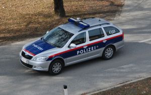 В Австрії викрили мережу ФСБ, яка видавала себе за "українських нацистів", - ЗМІ