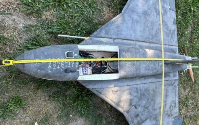 Не винятковий випадок: у Литві пояснили, чому не збили російську "Герберу"