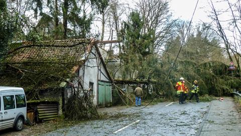 У Німеччині ураган завдав збитків на 500 млн євро