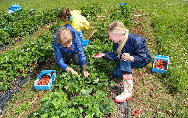Україна і Болгарія підготують угоду про трудову міграцію