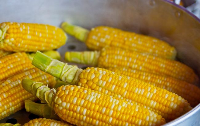 Стартував сезон кукурудзи: як правильно вибрати і варити