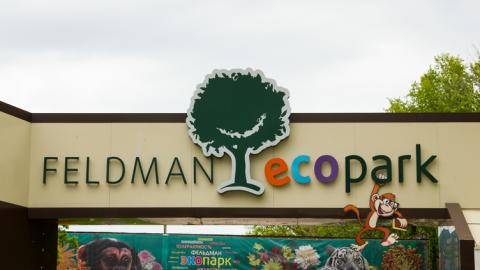 Под Харьковом в зоопарке обезьяны напали на мужчину