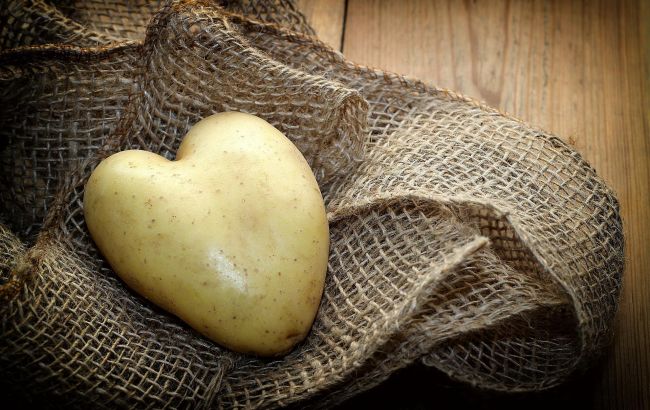Так картоплю ви ще не готували: український шеф-кухар показав оригінальні рецепти