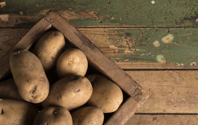 Выяснилось, почему картофель портится зимой: простые способы его спасти