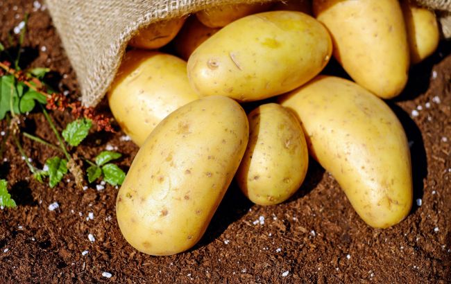 Можно ли сажать картофель в Великую субботу