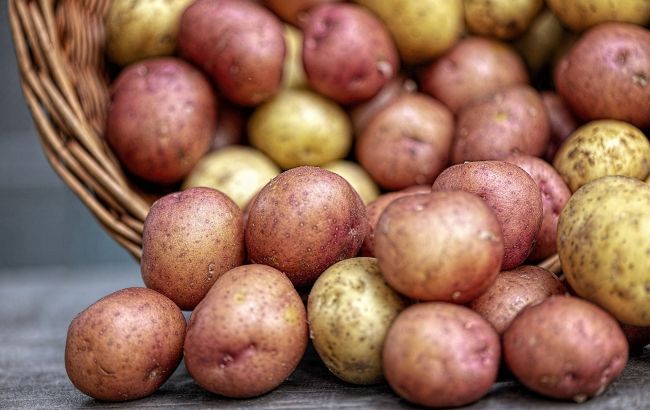 Чи буде в Україні дешева картопля: експерти дали відповідь
