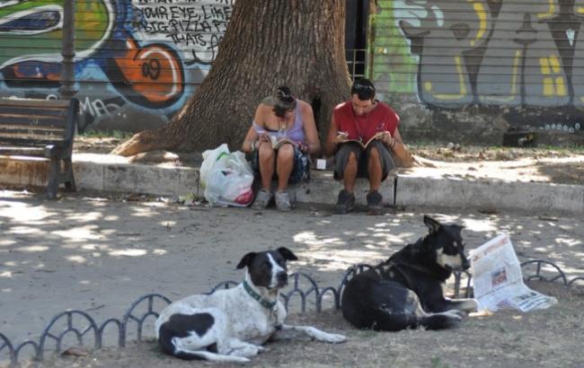 На Донбасі на чоловіка напала зграя бездомних собак