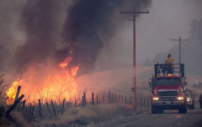 У США через лісові пожежі оголосили надзвичайний стан