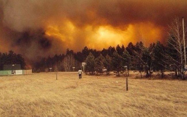 В Сибири горят леса (фото, видео)
