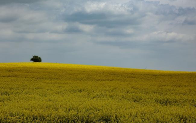 Погода на сегодня: в Украине преимущественно без осадков, температура до +31