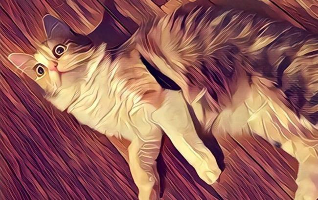 Додаток Prisma став доступним для Android-пристроїв в тестовому режимі