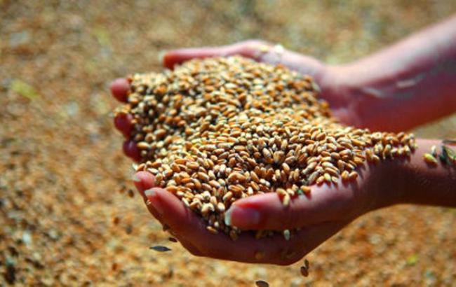 Украина способна поставить на китайский рынок еще 2 млн тонн зерновых, - МинАП