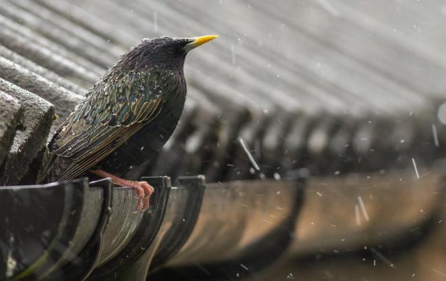 Синоптики попереджають про погіршення погодних умов по Україні 15 травня