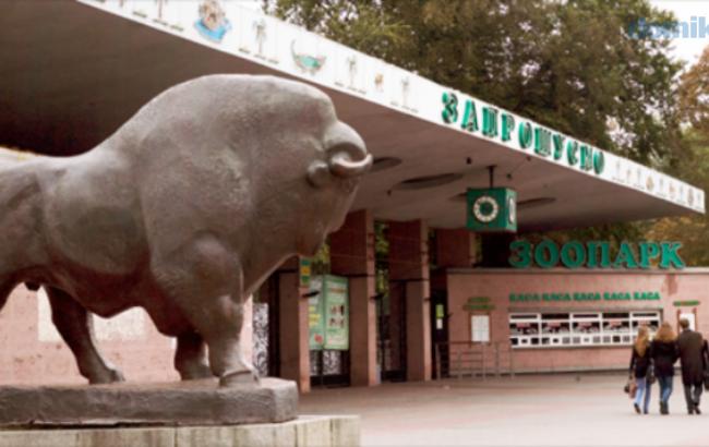 У київському зоопарку ідентифікували особу грабіжника