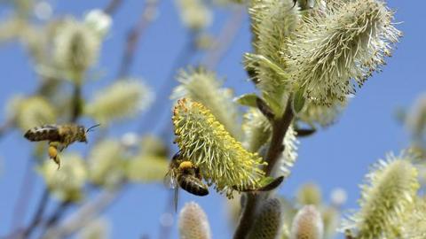 Погода на сьогодні: в Україні мінлива хмарність, температура до +25