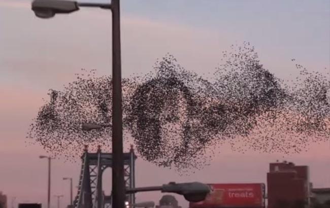 Жителі Нью-Йорка бачать у небі обличчя Путіна