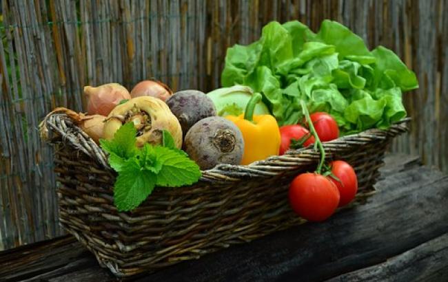 Диетолог рассказала о пользе зеленых и разноцветных овощей