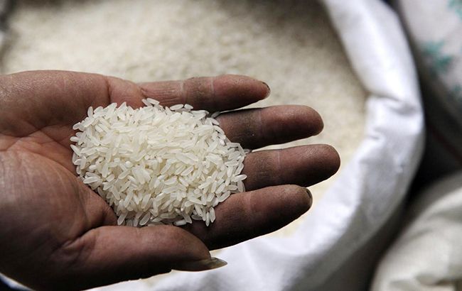 Бюджет Південної Кореї втратив 1,7 млрд доларів через перевиробництво рису
