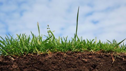 Більшість українців проти продажу землі