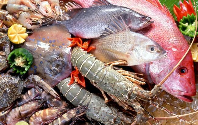 Росія має намір частково зняти заборону на імпорт морепродуктів з ЄС