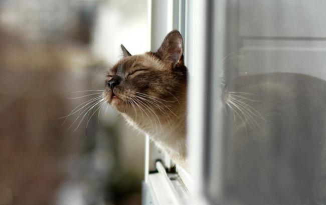 Погода на сьогодні: В Україні мінлива хмарність, температура до +16