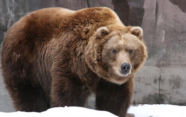 Гороскоп на сьогодні, 5 грудня