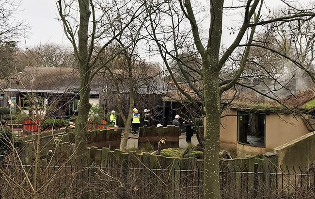 В результате пожара в зоопарке Лондона пострадали 9 человек