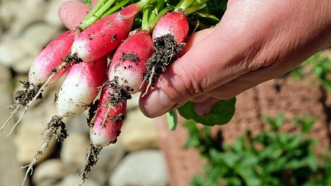 Електронні пристрої