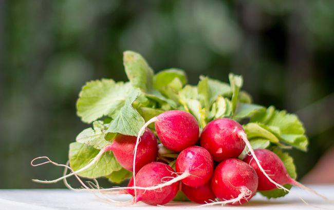 Лікарі розповіли, кому категорично не можна їсти редис