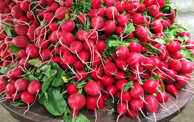 Кому нельзя есть редиску и в чем ее настоящая польза