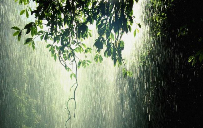 Погода на сьогодні: місцями дощі з грозами, температура до +31