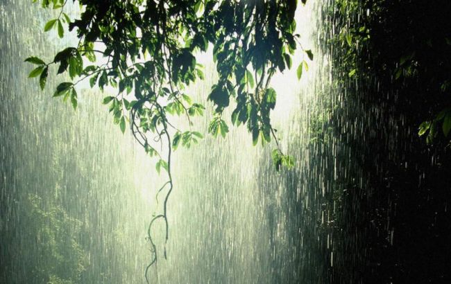 Погода на завтра: в Украине местами дожди с грозами, температура до +31