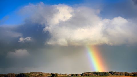 Унікальне явище: в мережі показали фото рідкісної веселки в Карпатах
