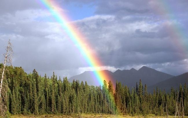 Дощі і спека: синоптики дали прогноз погоди на 20 липня
